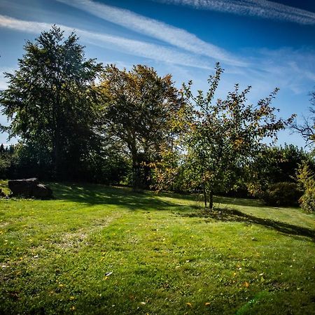 Ferienwohnung zum Forsthaus mit Wellnessbereich und Hallenbad Oberviechtach Exterior foto