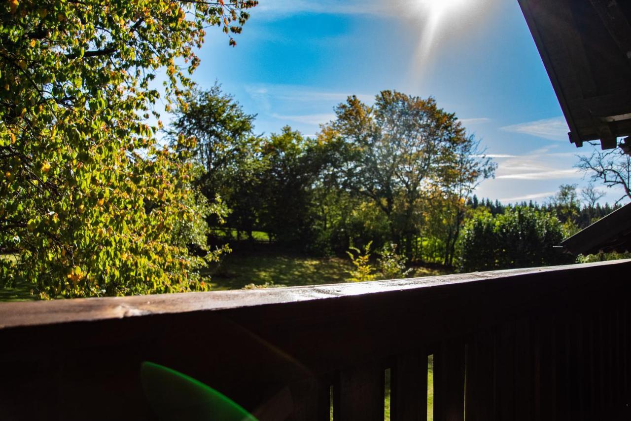 Ferienwohnung zum Forsthaus mit Wellnessbereich und Hallenbad Oberviechtach Exterior foto
